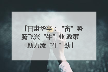 甘肃华亭：“畜”势腾飞兴“牛”业 政策助力添“牛”劲